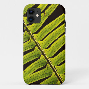 Capa Para iPhone 11 EUA, Washington, Parque Nacional Olímpico, Contral