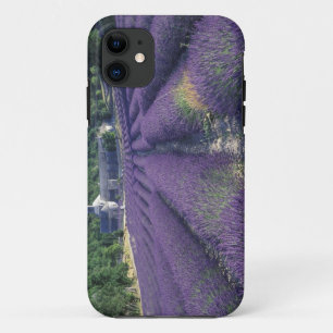 Capa Para iPhone 11 Europa, França, Provença. Campos de lavanda