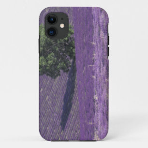 Capa Para iPhone 11 Europa, França, Provença, Sault, Campos de lavanda