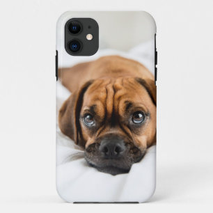Capa Para iPhone 11 Exemplo bonito do cão de Puggle