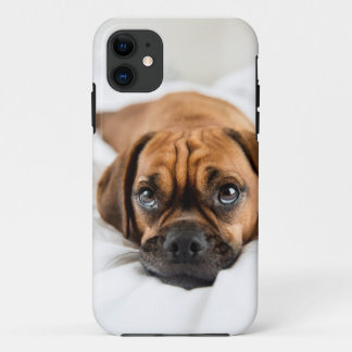 Capa Para iPhone 11 Exemplo bonito do cão de Puggle