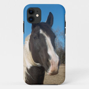 Capa Para iPhone 11 exemplo do cavalo do iPhone 5