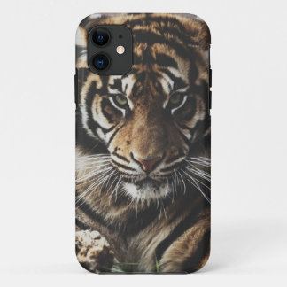 Capa Para iPhone 11 Exemplo do tigre