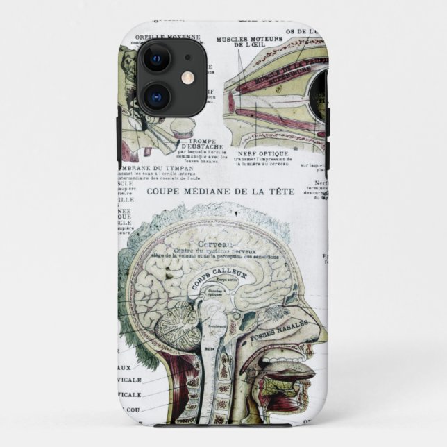 Capa Para iPhone 11 Exemplo francês da case mate da anatomia (Verso)
