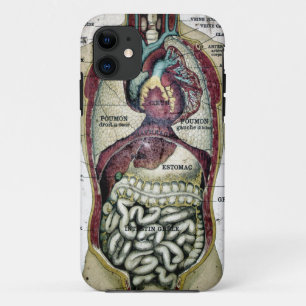 Capa Para iPhone 11 Exemplo francês da case mate da anatomia do