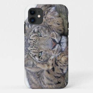 Capa Para iPhone 11 Exemplo Verde-Eyed da case mate do iPhone 5 do