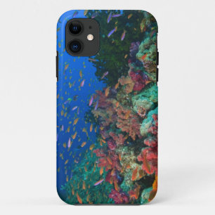 Capa Para iPhone 11 Fadas-besugos (Pseudanthias