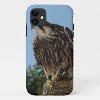 Capa Para iPhone 11 Falcão de peregrino