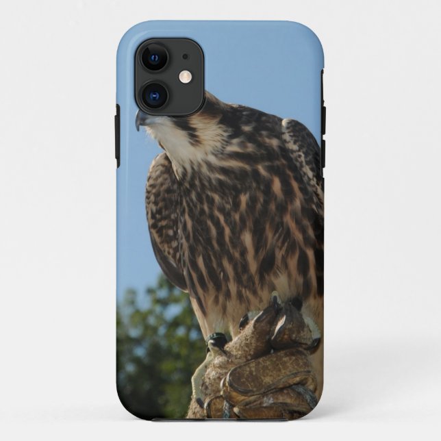 Capa Para iPhone 11 Falcão de peregrino (Verso)
