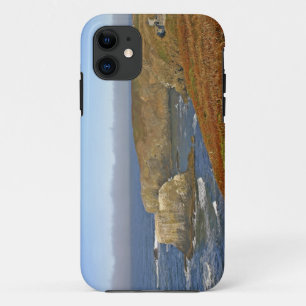 Capa Para iPhone 11 Farol de Yaquina Head em Newport Oregon