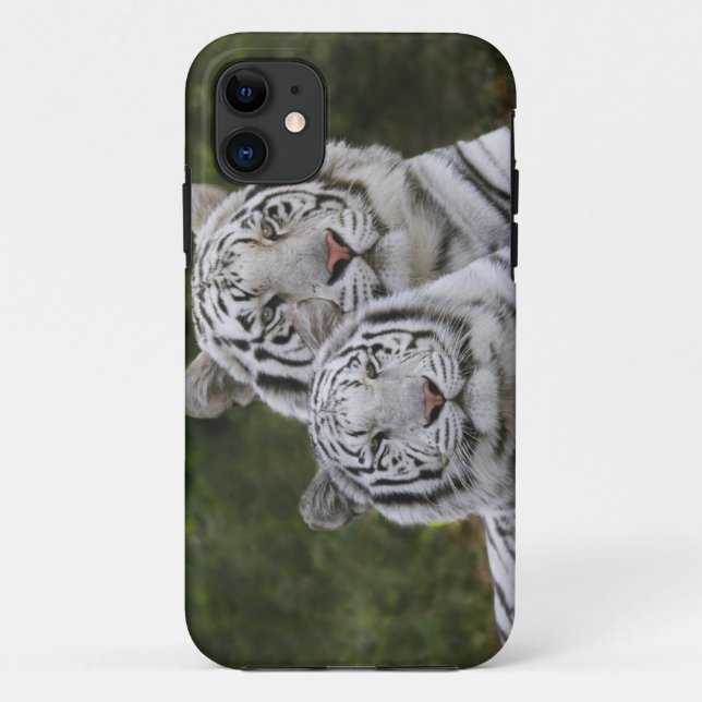 Capa Para iPhone 11 Fase branca, Tigre de Bengala, Tigre (Verso)