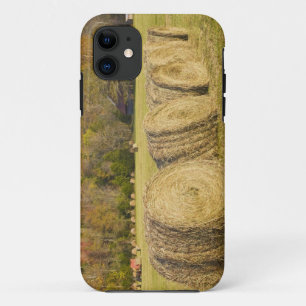 Capa Para iPhone 11 Fazenda histórica no rio Buffalo National,