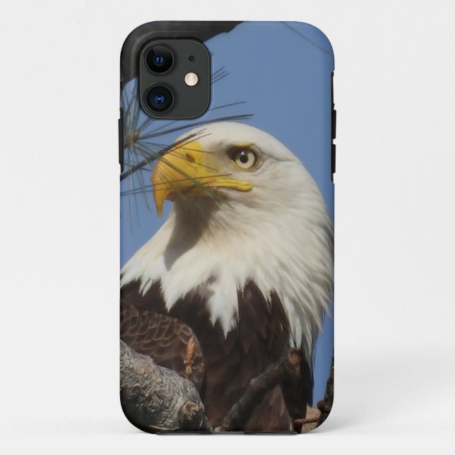 Capa Para iPhone 11 Feche o tiro na cabeça da águia careca (Verso)