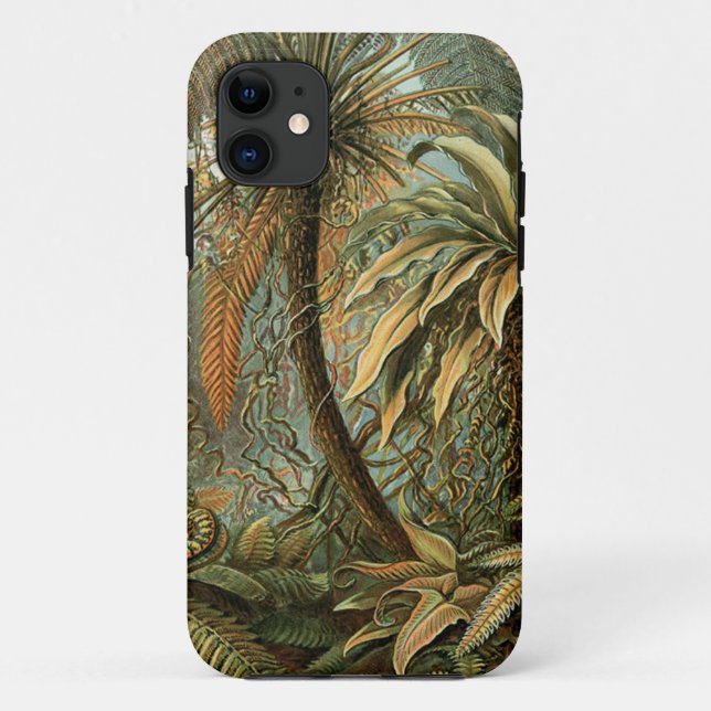 Capa Para iPhone 11 Ferns Palm Tree Arte Botânica Antica (Verso)
