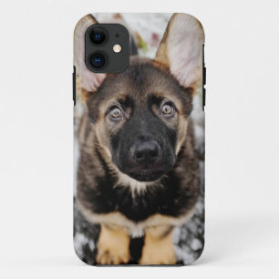 Capa Para iPhone 11 Filhote de cachorro bonito que olha acima