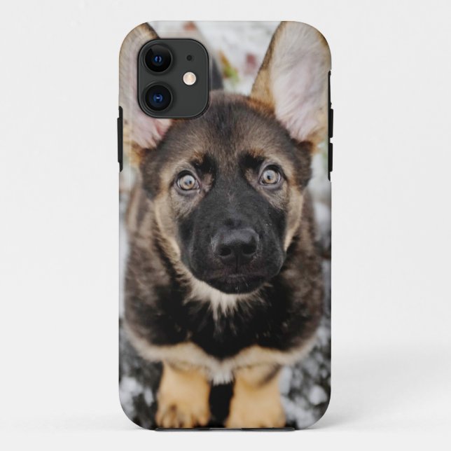 Capa Para iPhone 11 Filhote de cachorro bonito que olha acima (Verso)