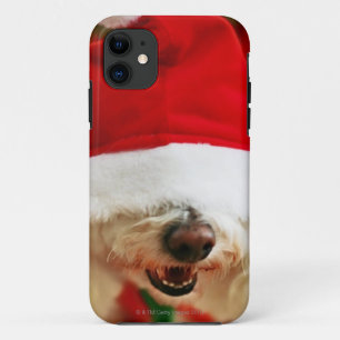 Capa Para iPhone 11 Filhote de cachorro de Bichon Frise que veste o