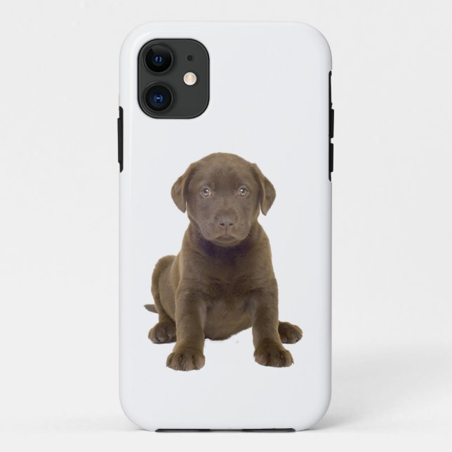 Capa Para iPhone 11 Filhote de Lab Chocolate (Verso)