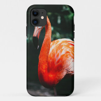 Capa Para iPhone 11 Flamingo