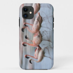 Capa Para iPhone 11 Flamingos menores em movimento, Phoenicopterus