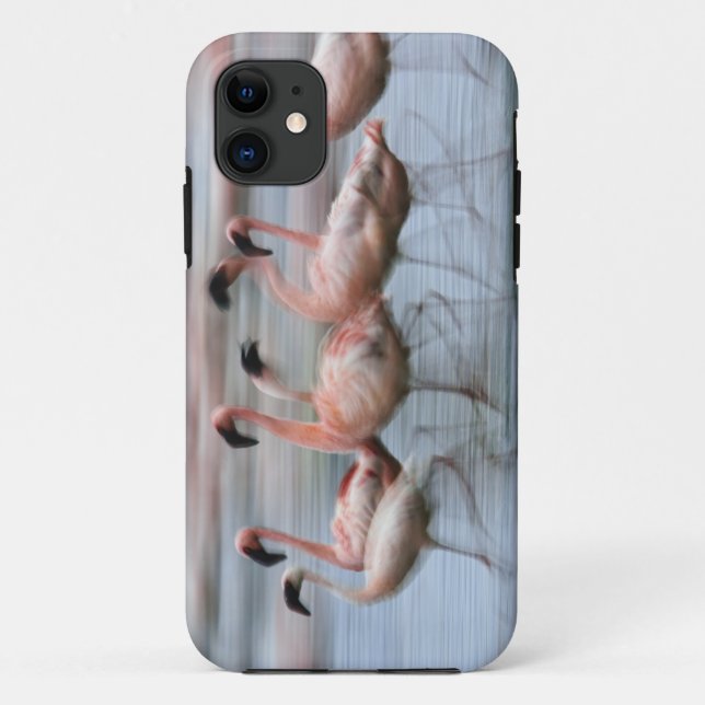 Capa Para iPhone 11 Flamingos menores em movimento, Phoenicopterus (Verso)
