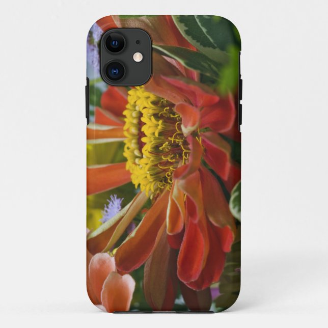 Capa Para iPhone 11 flor de crisântemo (Verso)