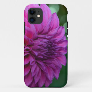 Capa Para iPhone 11 Flor de dália roxa
