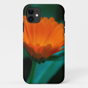 Capa Para iPhone 11 Flor de margarida laranja
