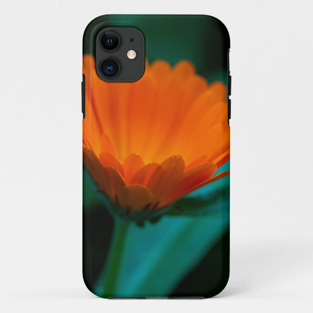 Capa Para iPhone 11 Flor de margarida laranja (Verso)