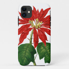 Capa Para iPhone 11 Flor de Natal