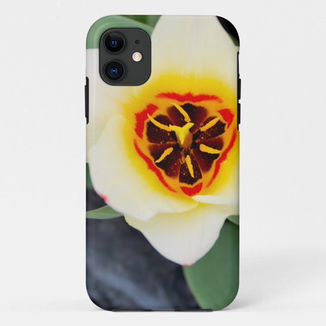 Capa Para iPhone 11 Flor de tulipa (Verso)