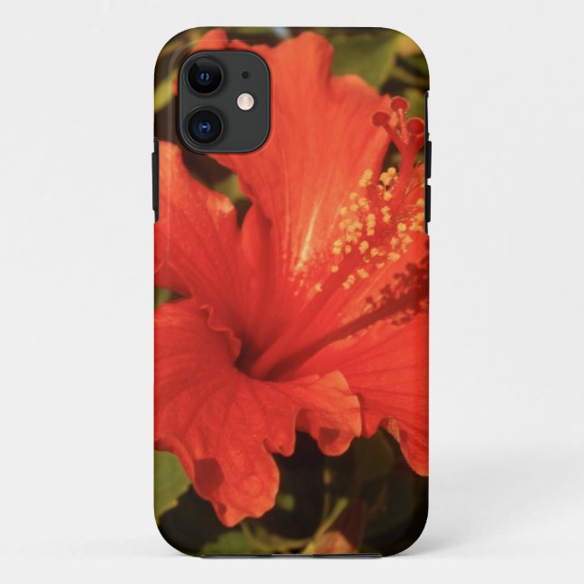 Capa Para iPhone 11 Flor do hibiscus (Verso)