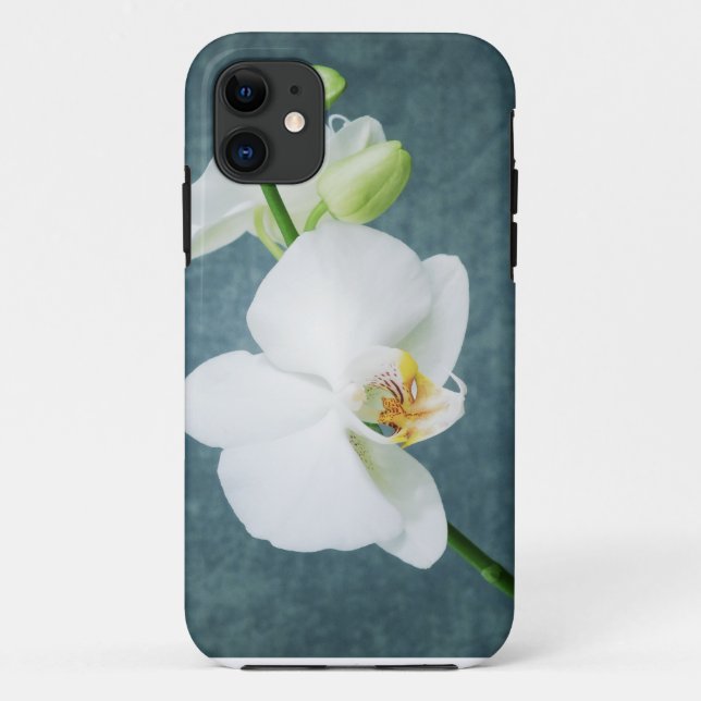 Capa Para iPhone 11 Flor Orquídea Branca Zen (Verso)