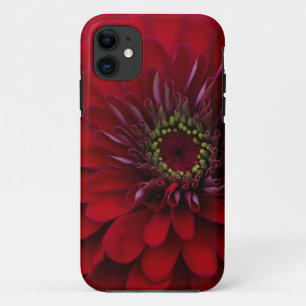Capa Para iPhone 11 Flor vermelha bonita do Zinnia do jardim
