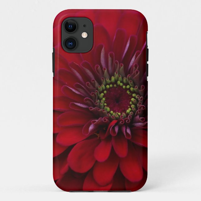 Capa Para iPhone 11 Flor vermelha bonita do Zinnia do jardim (Verso)