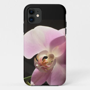 Capa Para iPhone 11 Floral do iPhone para Cobrir de Celular do Orquíde