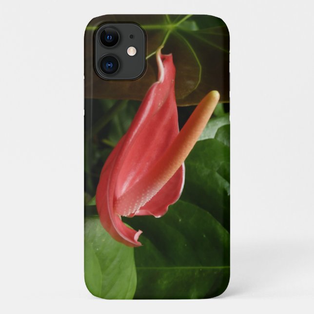 Capa Para iPhone 11 Floral rosa Calla Lily Elegante (Verso)