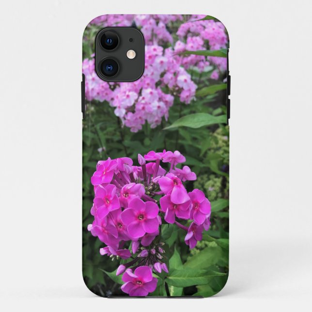 Capa Para iPhone 11 Flores em Chateau Morrisette Winery, Floyd, VA (Verso)