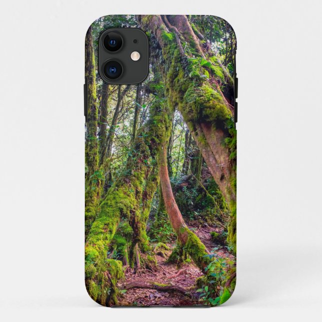 Capa Para iPhone 11 Floresta Musgosa (Verso)