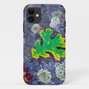 Capa Para iPhone 11 Folha de Carvalho e Bolotas sobre uma rocha cobert