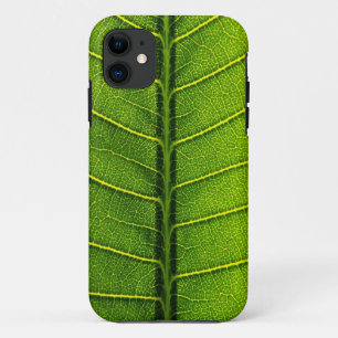 Capa Para iPhone 11 Folha verde