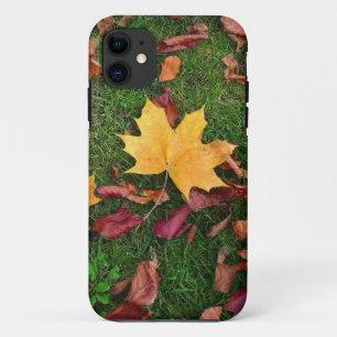 Capa Para iPhone 11 Folhas de outono