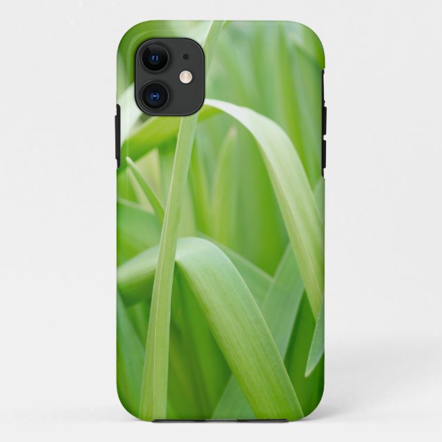 Capa Para iPhone 11 Folhas Frescas de Planta Verde  (Verso)