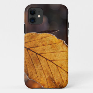 Capa Para iPhone 11 folhas, natureza, folhagem