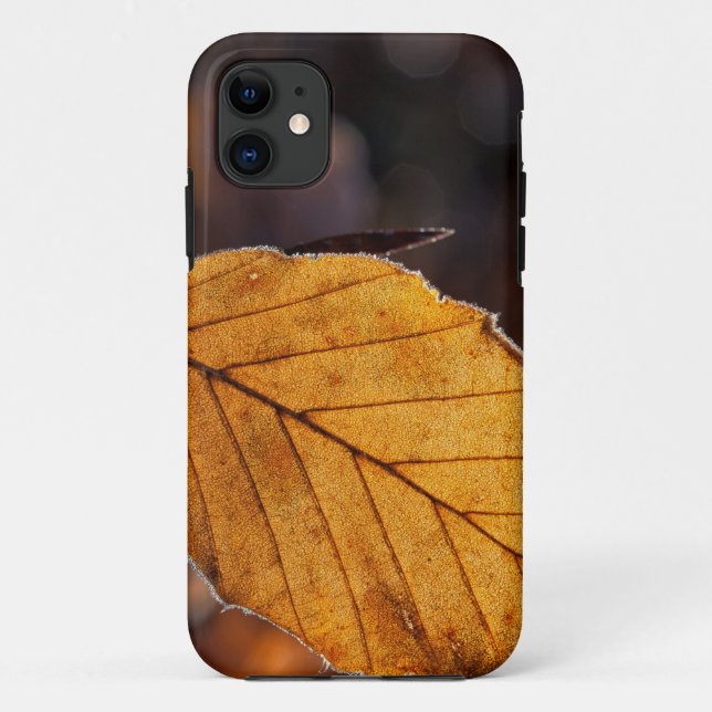 Capa Para iPhone 11 folhas, natureza, folhagem (Verso)
