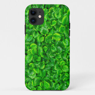Capa Para iPhone 11 Folhas Verdejantes