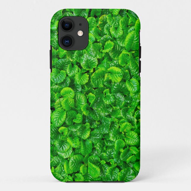 Capa Para iPhone 11 Folhas Verdejantes  (Verso)