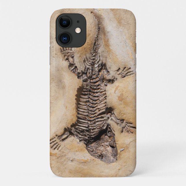 Capa Para iPhone 11 Fóssil Dinossauro Antigo em Pedra (Verso)