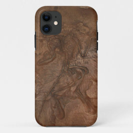 Capa Para iPhone 11 Fóssil do Archaeopteryx - Casemate