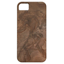 Capa Para iPhone 11 Fóssil do Archaeopteryx - Casemate
